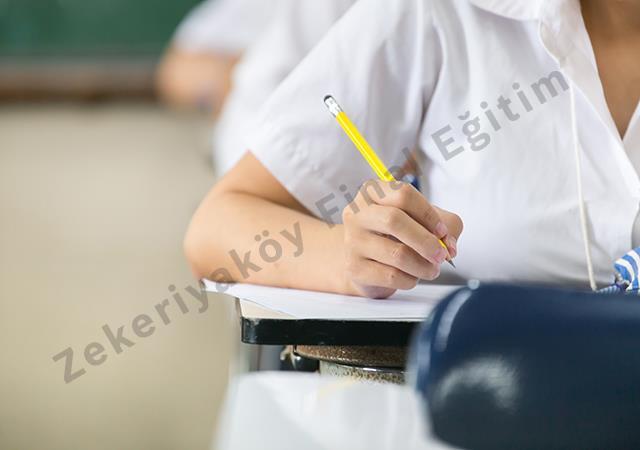 11. Sınıf Hazırlık Programı ile Üniversite Hedefinize Güçlü Başlangıç